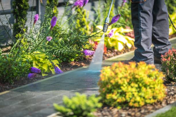Professional Pressure Washing Services in Catawba, SC